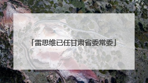 雷思维已任甘肃省委常委