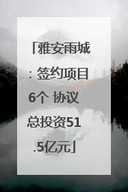 雅安雨城：签约项目6个 协议总投资51.5亿元