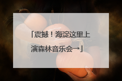 震撼！海淀这里上演森林音乐会→