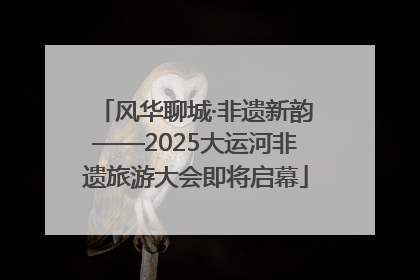 风华聊城·非遗新韵——2025大运河非遗旅游大会即将启幕