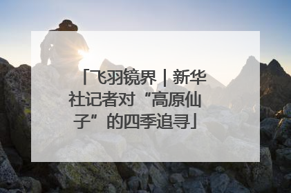 飞羽镜界｜新华社记者对“高原仙子”的四季追寻