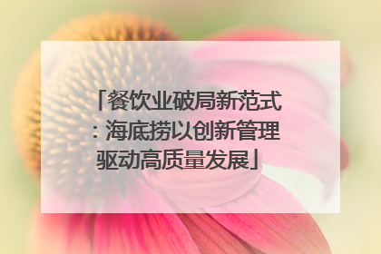 餐饮业破局新范式：海底捞以创新管理驱动高质量发展