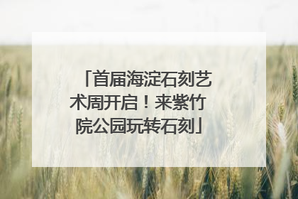 首届海淀石刻艺术周开启！来紫竹院公园玩转石刻