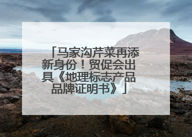 马家沟芹菜再添新身份！贸促会出具《地理标志产品品牌证明书》
