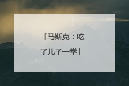 马斯克：吃了儿子一拳