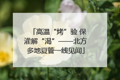 高温“烤”验 保灌解“渴”——北方多地夏管一线见闻