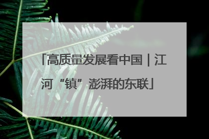高质量发展看中国｜江河“镇”澎湃的东联