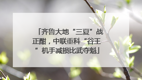 齐鲁大地“三夏”战正酣，中联重科“谷王”机手减损比武夺魁