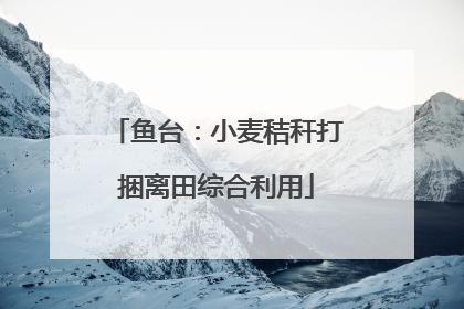 鱼台：小麦秸秆打捆离田综合利用