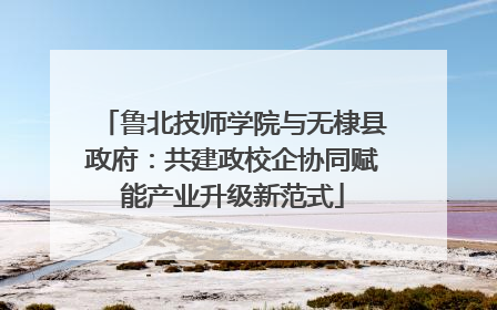 鲁北技师学院与无棣县政府：共建政校企协同赋能产业升级新范式