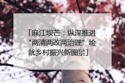 麻江坝芒：纵深推进“两清两改两治理”绘就乡村振兴新图景