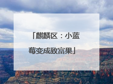 麒麟区：小蓝莓变成致富果