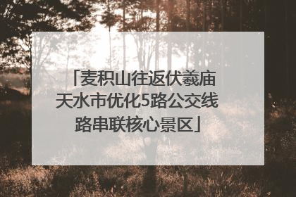 麦积山往返伏羲庙 天水市优化5路公交线路串联核心景区