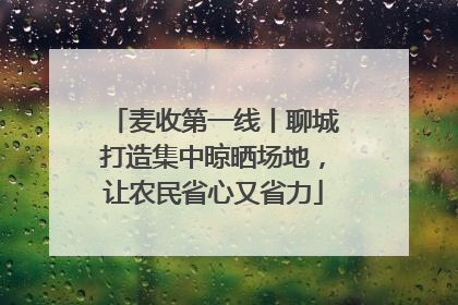 麦收第一线丨聊城打造集中晾晒场地，让农民省心又省力