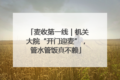 麦收第一线｜机关大院“开门迎麦”，管水管饭真不赖