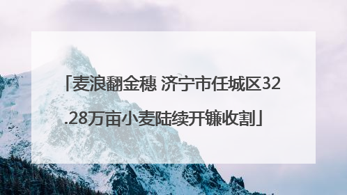 麦浪翻金穗 济宁市任城区32.28万亩小麦陆续开镰收割