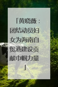 黄晓薇：团结动员妇女为海南自贸港建设贡献巾帼力量