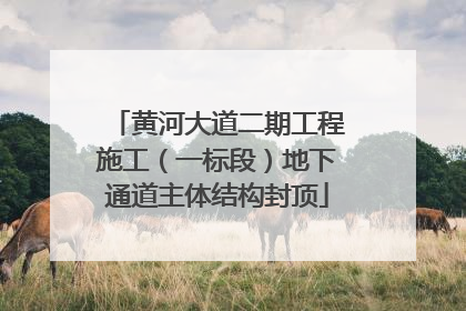 黄河大道二期工程施工（一标段）地下通道主体结构封顶