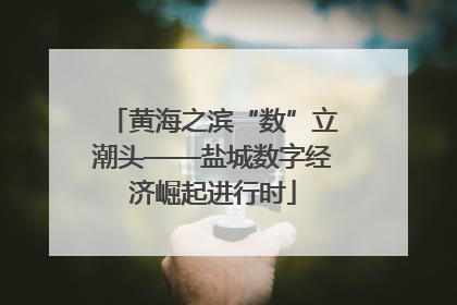 黄海之滨“数”立潮头——盐城数字经济崛起进行时