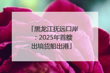 黑龙江抚远口岸：2025年首艘出境货船出港
