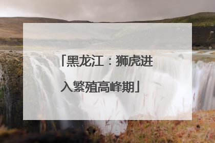 黑龙江：狮虎进入繁殖高峰期