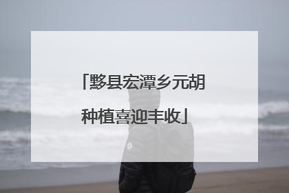 黟县宏潭乡元胡种植喜迎丰收