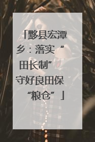 黟县宏潭乡：落实“田长制” 守好良田保“粮仓”