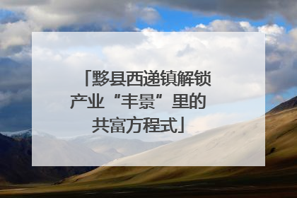 黟县西递镇解锁产业“丰景”里的共富方程式