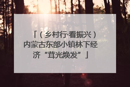 （乡村行·看振兴）内蒙古东部小镇林下经济“茸光焕发”