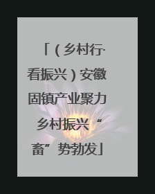 （乡村行·看振兴）安徽固镇产业聚力 乡村振兴“畜”势勃发
