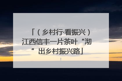 （乡村行·看振兴）江西信丰一片茶叶“沏”出乡村振兴路