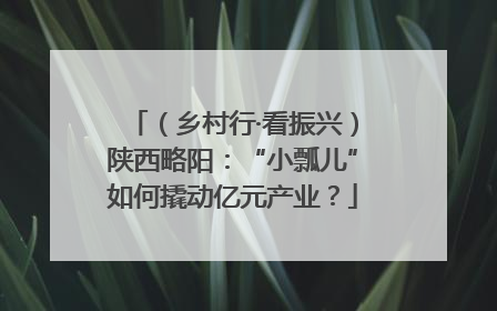 （乡村行·看振兴）陕西略阳：“小瓢儿”如何撬动亿元产业？