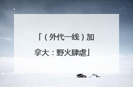 （外代一线）加拿大：野火肆虐
