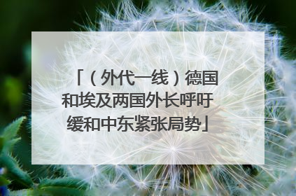 （外代一线）德国和埃及两国外长呼吁缓和中东紧张局势