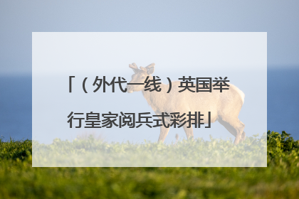 （外代一线）英国举行皇家阅兵式彩排