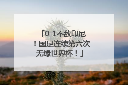 0-1不敌印尼！国足连续第六次无缘世界杯！
