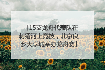 15支龙舟代表队在刺猬河上竞技，北京良乡大学城举办龙舟赛