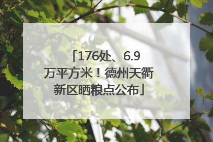 176处、6.9万平方米！德州天衢新区晒粮点公布
