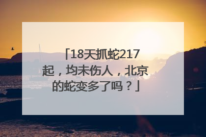 18天抓蛇217起，均未伤人，北京的蛇变多了吗？