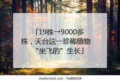 19株→9000多株，天台这一珍稀植物“坐飞的”生长