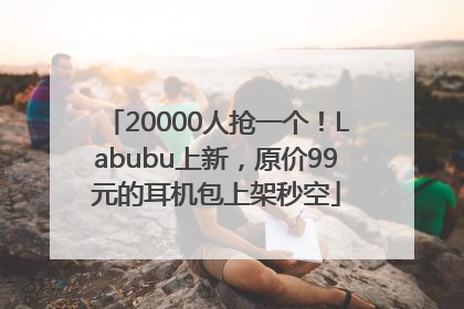 20000人抢一个！Labubu上新，原价99元的耳机包上架秒空