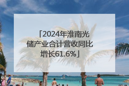 2024年淮南光储产业合计营收同比增长61.6%