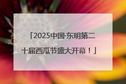2025中国·东明第二十届西瓜节盛大开幕！