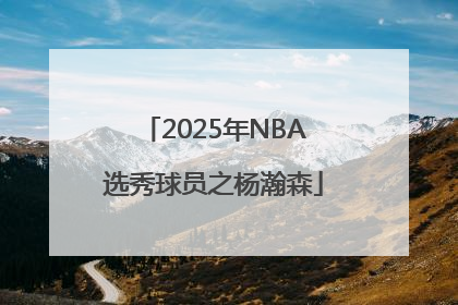 2025年NBA选秀球员之杨瀚森