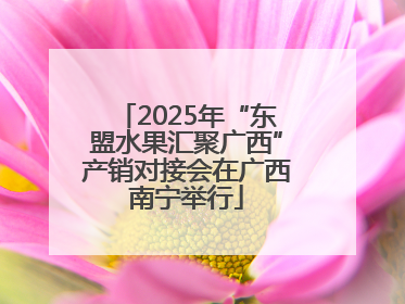 2025年“东盟水果汇聚广西”产销对接会在广西南宁举行
