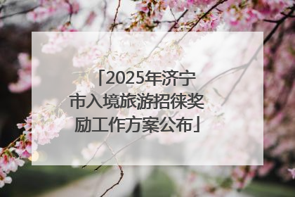 2025年济宁市入境旅游招徕奖励工作方案公布