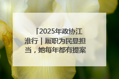 2025年政协江淮行｜履职为民显担当，她每年都有提案被评为“优秀”