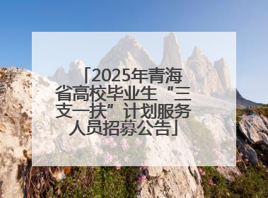 2025年青海省高校毕业生“三支一扶”计划服务人员招募公告
