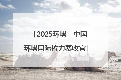 2025环塔｜中国环塔国际拉力赛收官