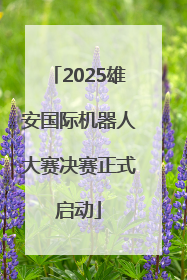 2025雄安国际机器人大赛决赛正式启动